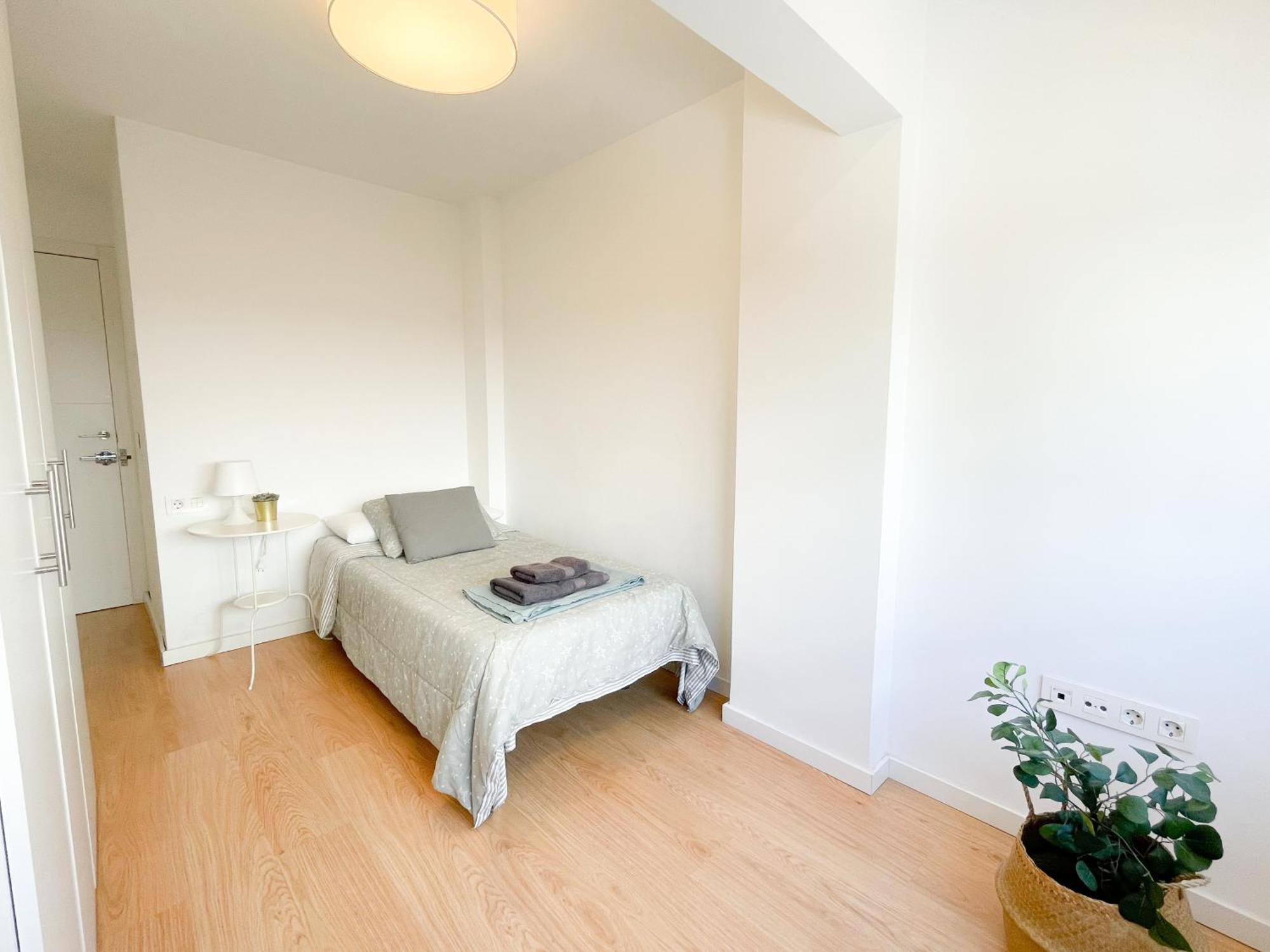 Moderno Apartamento Plz De La Merced 马拉加 外观 照片